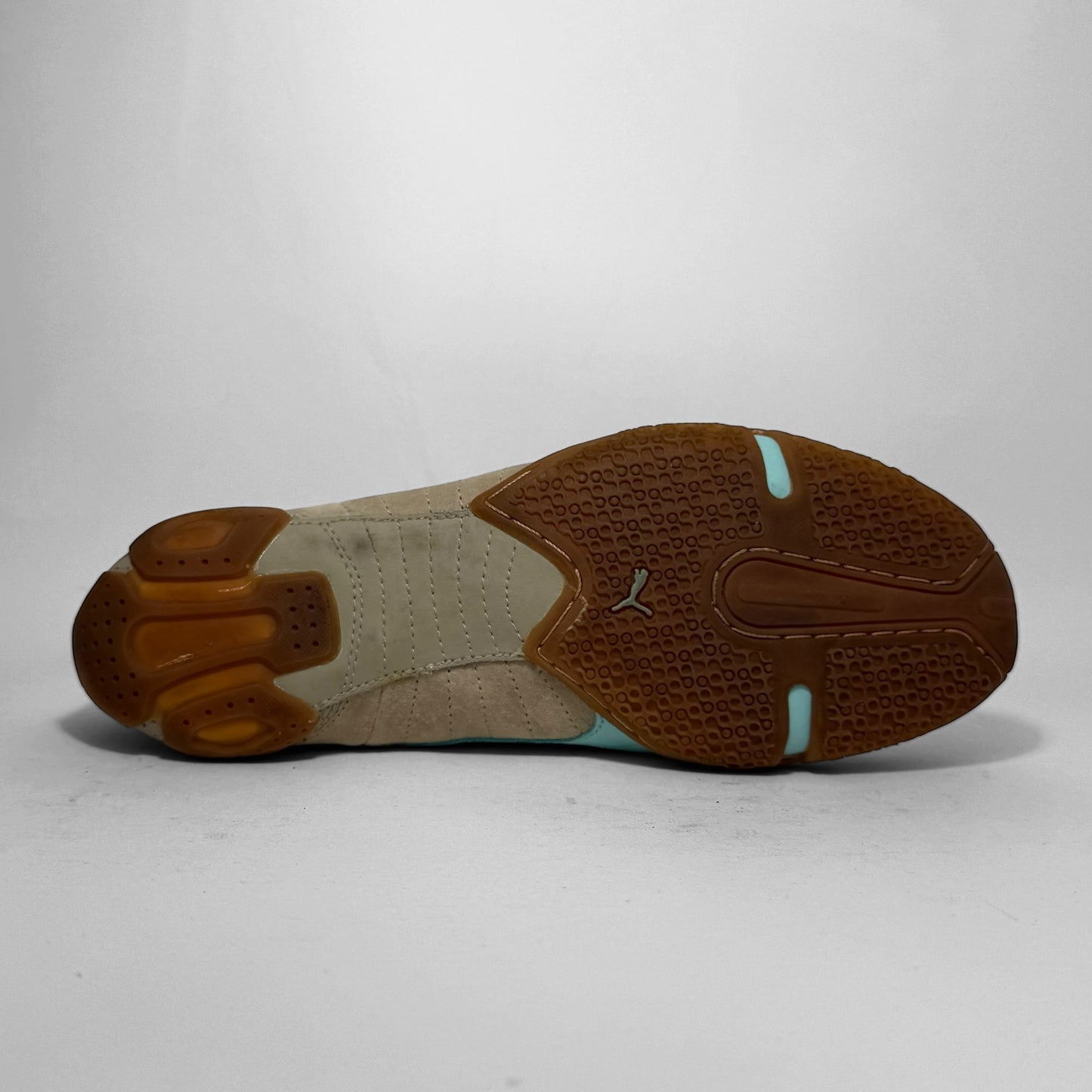 Puma Criatura (2004)